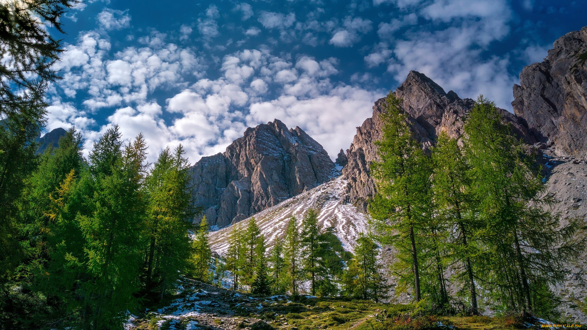 alps, tirol, austria, , 